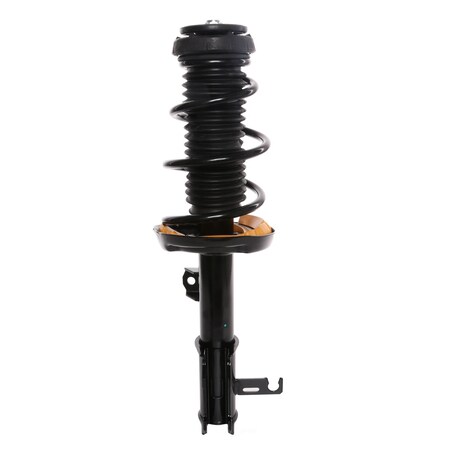 Prt Suspension Strut And Coil Spring Assembly, Prt 817177 817177